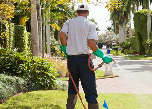 About Cobalt ID Pest Control